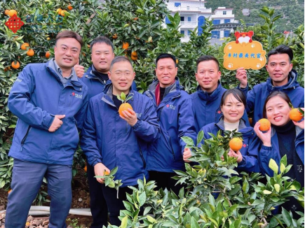 1703138773109515.png image.png